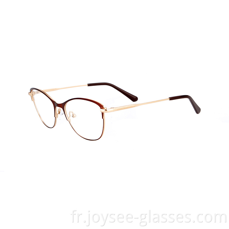 Two Tones Metal Eyeglasses 10